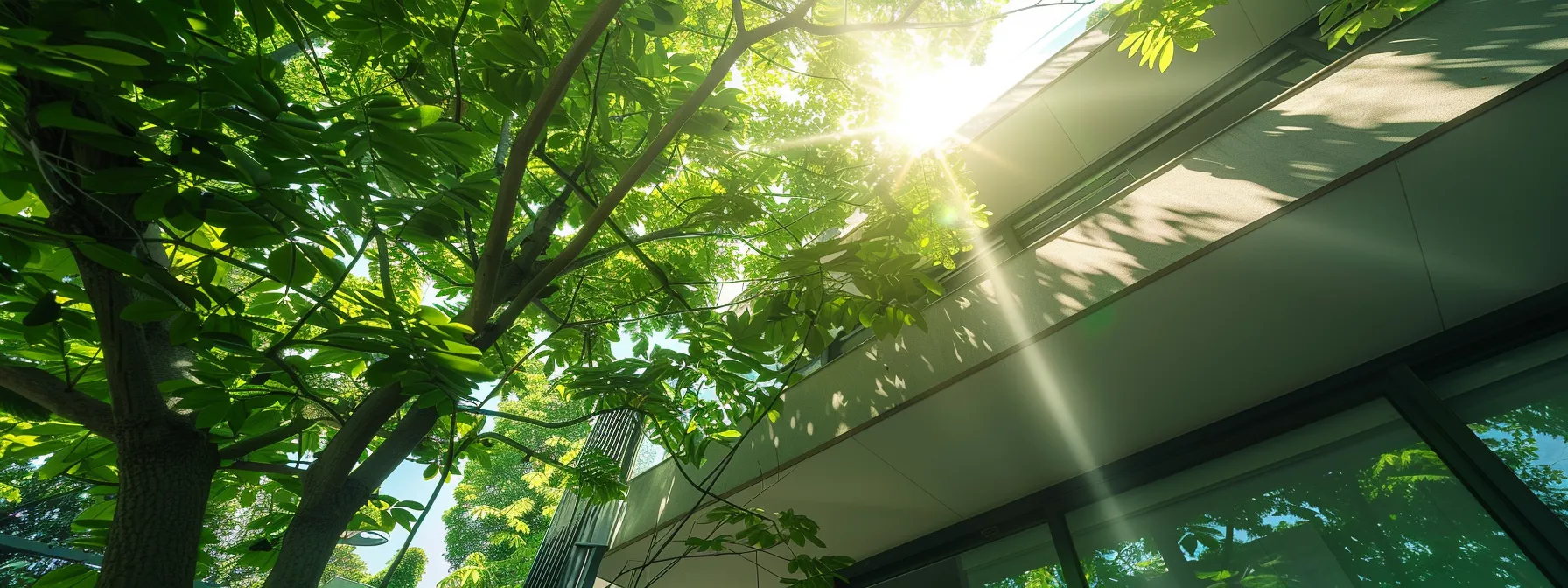 sunlight filtering through lush green leaves as a tree surgeon trims overhanging branches near a modern house, protecting the roof from potential winter damage.